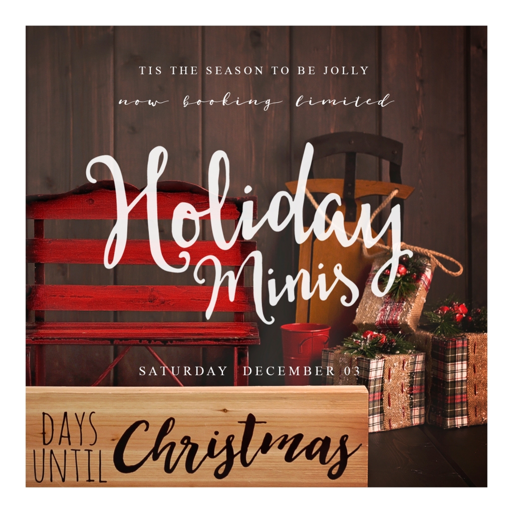 Holiday Minis! | Minneapolis Family Photographer